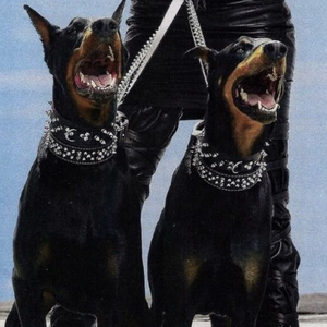 体育帅哥男男gayxvideos
