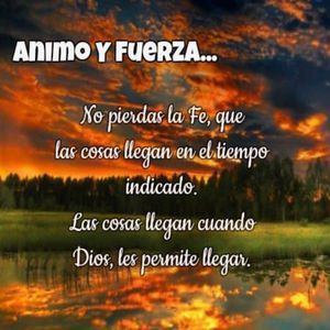 体育帅哥男男gayxvideos
